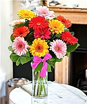 Renkli Hayatlar 12 Gerbera